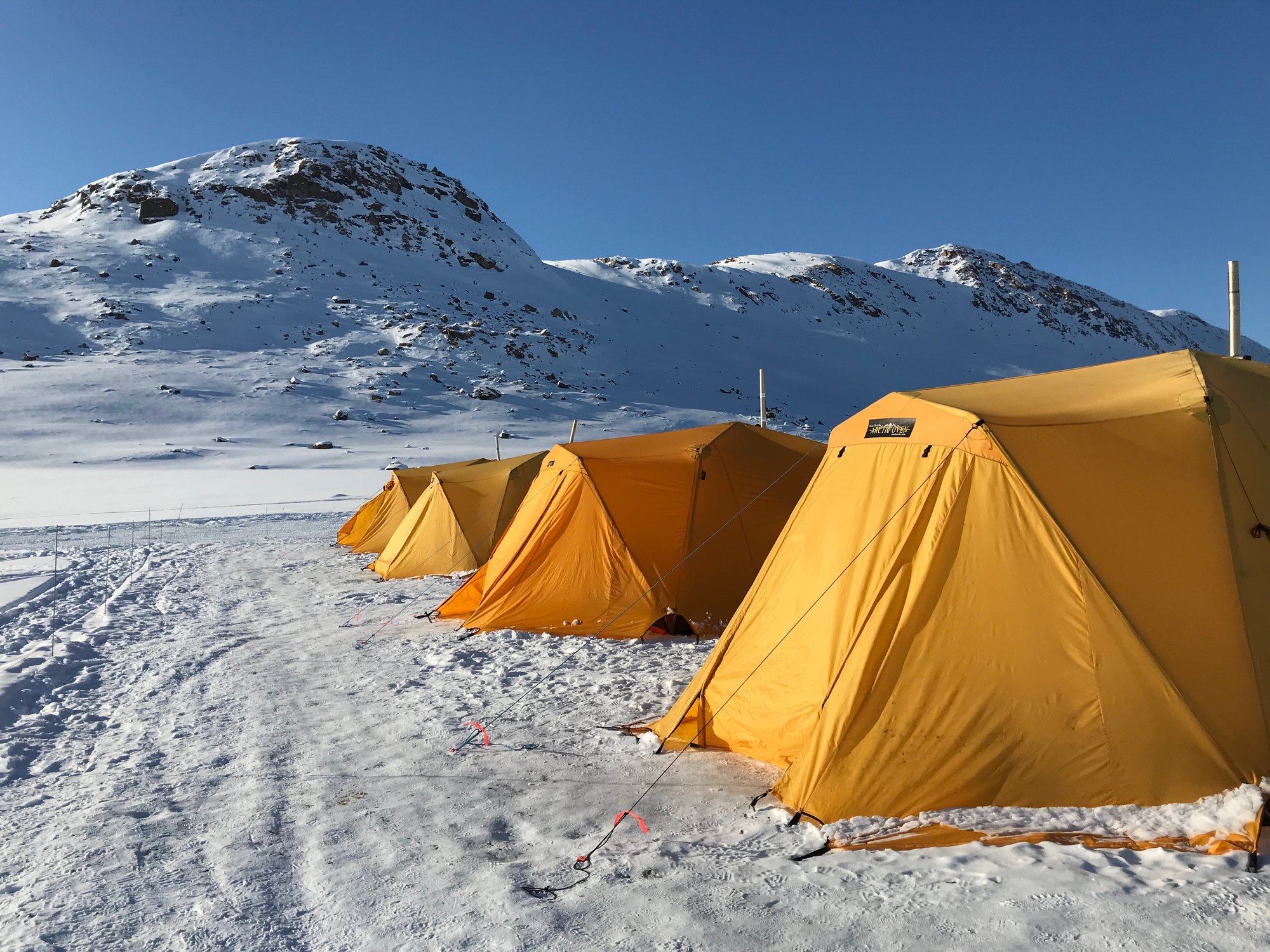 davebriggsphotography_IMG_3449 (1)